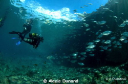 Playa Chica, Lanzarote - Canary Islands - Spain by Alexia Dunand 